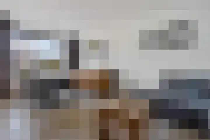 Lindenlaan 3 Wolvega thumbnail 14