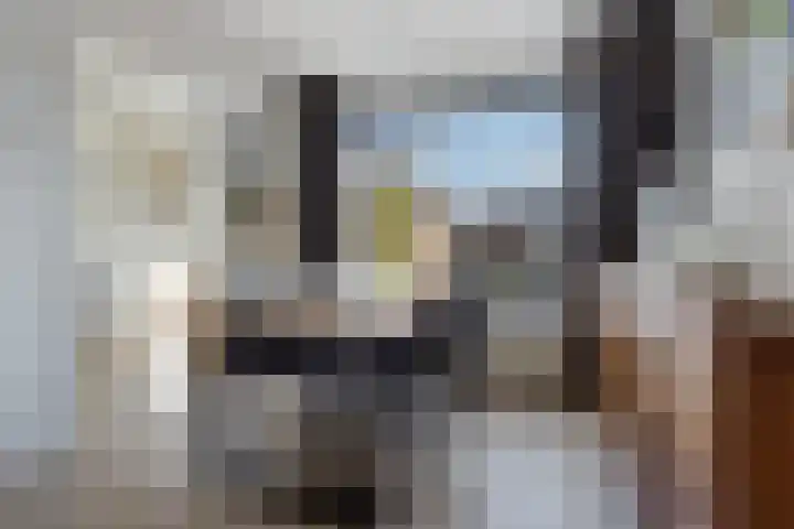 Lindenlaan 3 Wolvega thumbnail 15