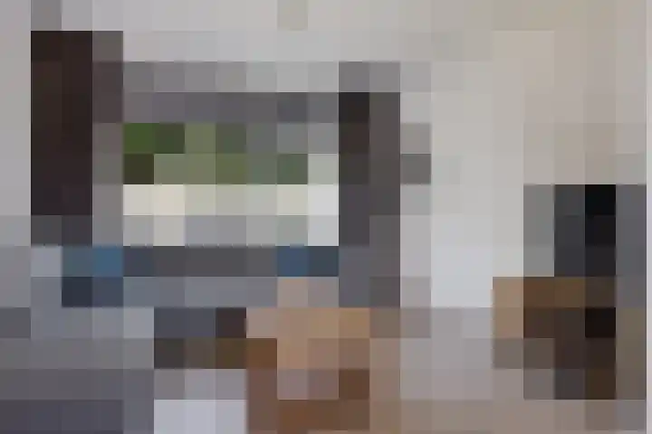 Lindenlaan 3 Wolvega thumbnail 18