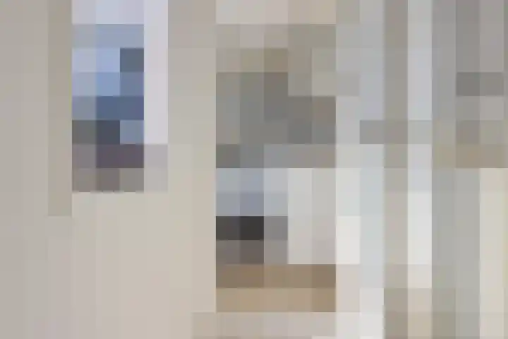 Lindenlaan 3 Wolvega thumbnail 19