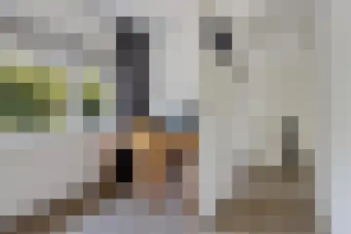 Lindenlaan 3 Wolvega thumbnail 23