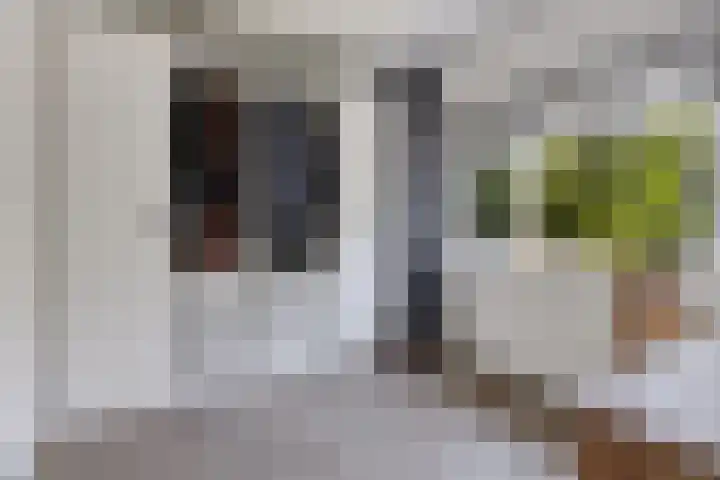 Lindenlaan 3 Wolvega thumbnail 24