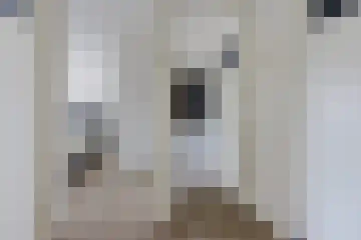 Lindenlaan 3 Wolvega thumbnail 25