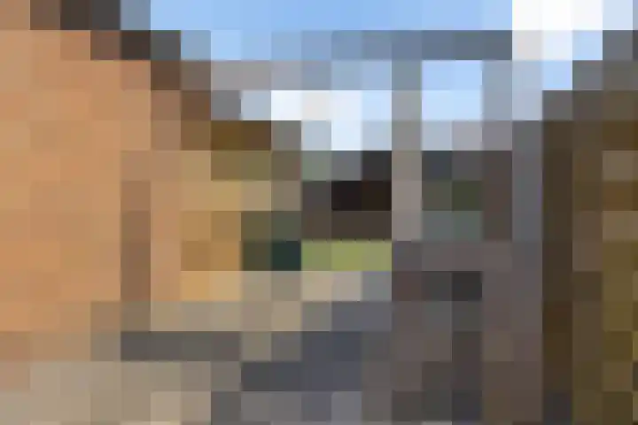 Lindenlaan 3 Wolvega thumbnail 32
