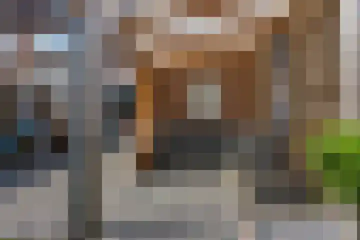 Lindenlaan 3 Wolvega thumbnail 33