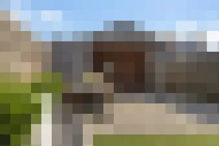 Lindenlaan 3 Wolvega thumbnail 34