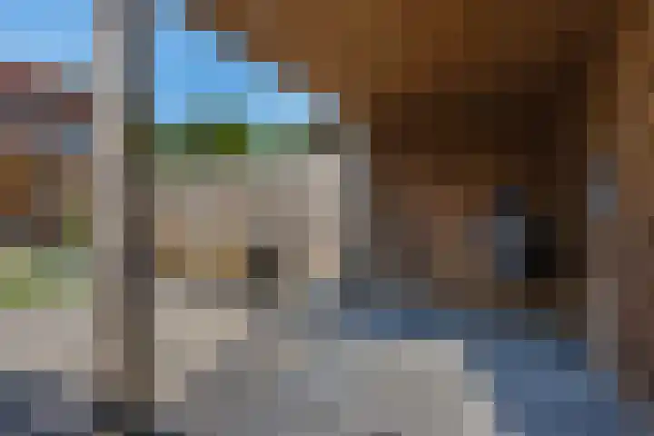 Lindenlaan 3 Wolvega thumbnail 35