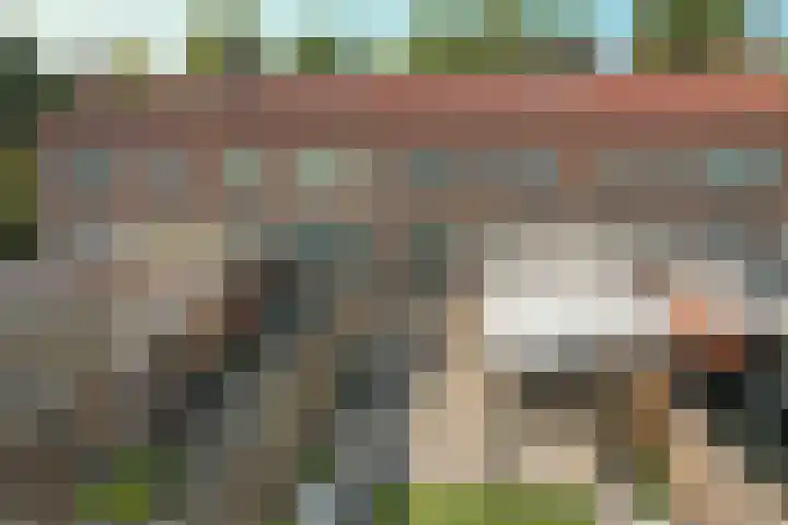 Lindenlaan 3 Wolvega thumbnail 38
