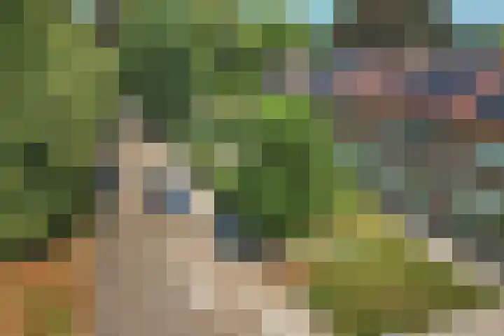 Lindenlaan 3 Wolvega thumbnail 39