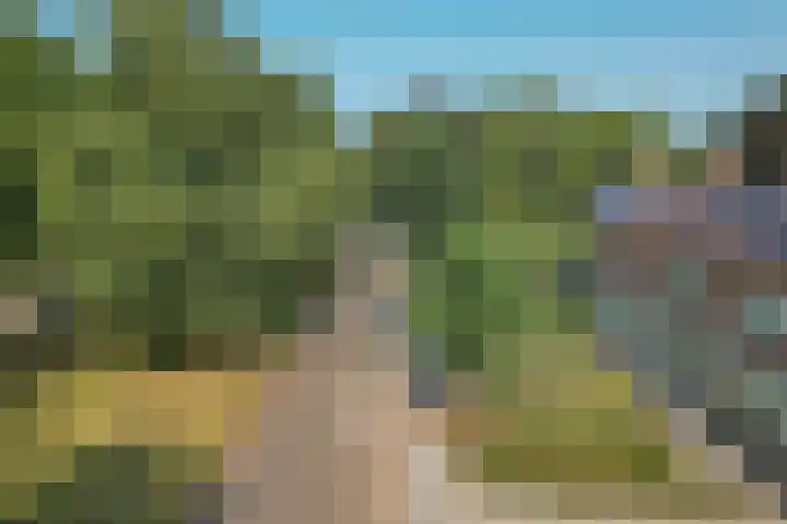 Lindenlaan 3 Wolvega thumbnail 40