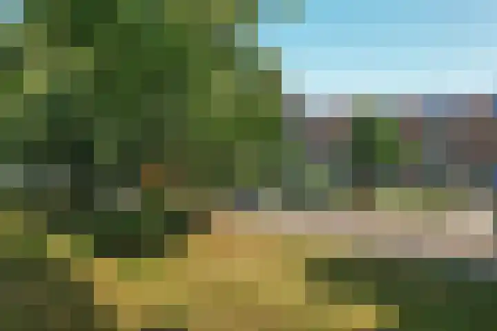 Lindenlaan 3 Wolvega thumbnail 41