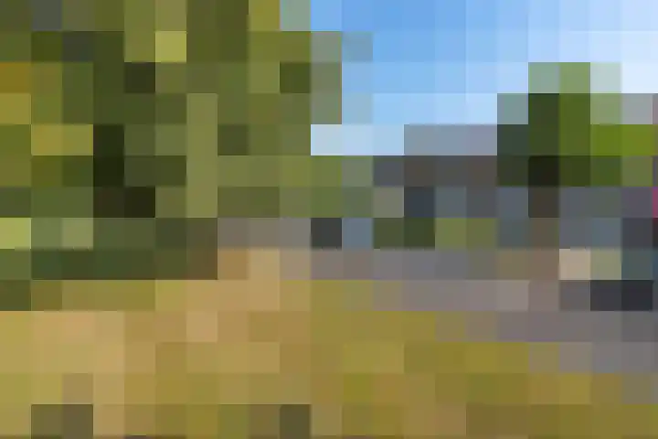 Lindenlaan 3 Wolvega thumbnail 6