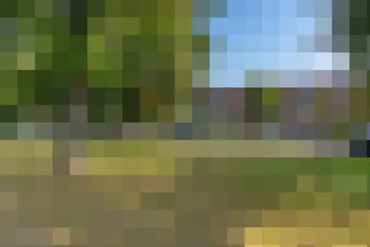 Lindenlaan 3 Wolvega thumbnail 7