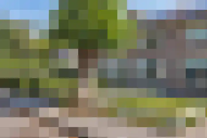 Lindenlaan 3 Wolvega thumbnail 8