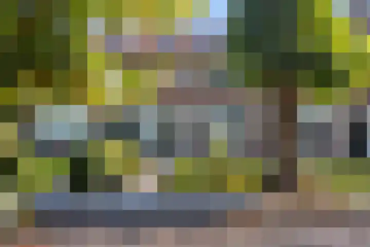 Lindenlaan 3 Wolvega thumbnail 9