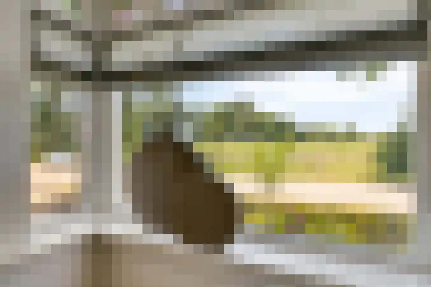 Lindenlaan 31 Bergen L thumbnail 10