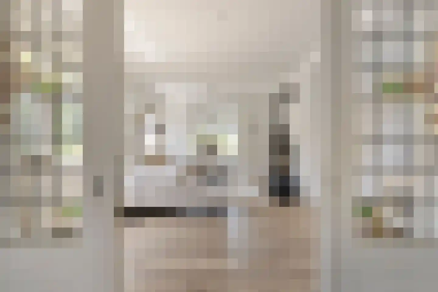 Lindenlaan 31 Bergen L thumbnail 11