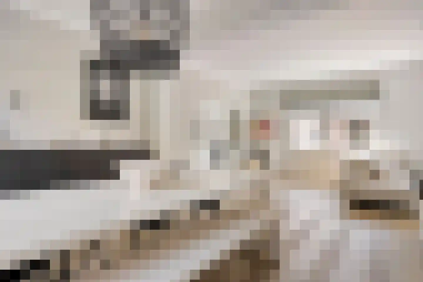 Lindenlaan 31 Bergen L thumbnail 13