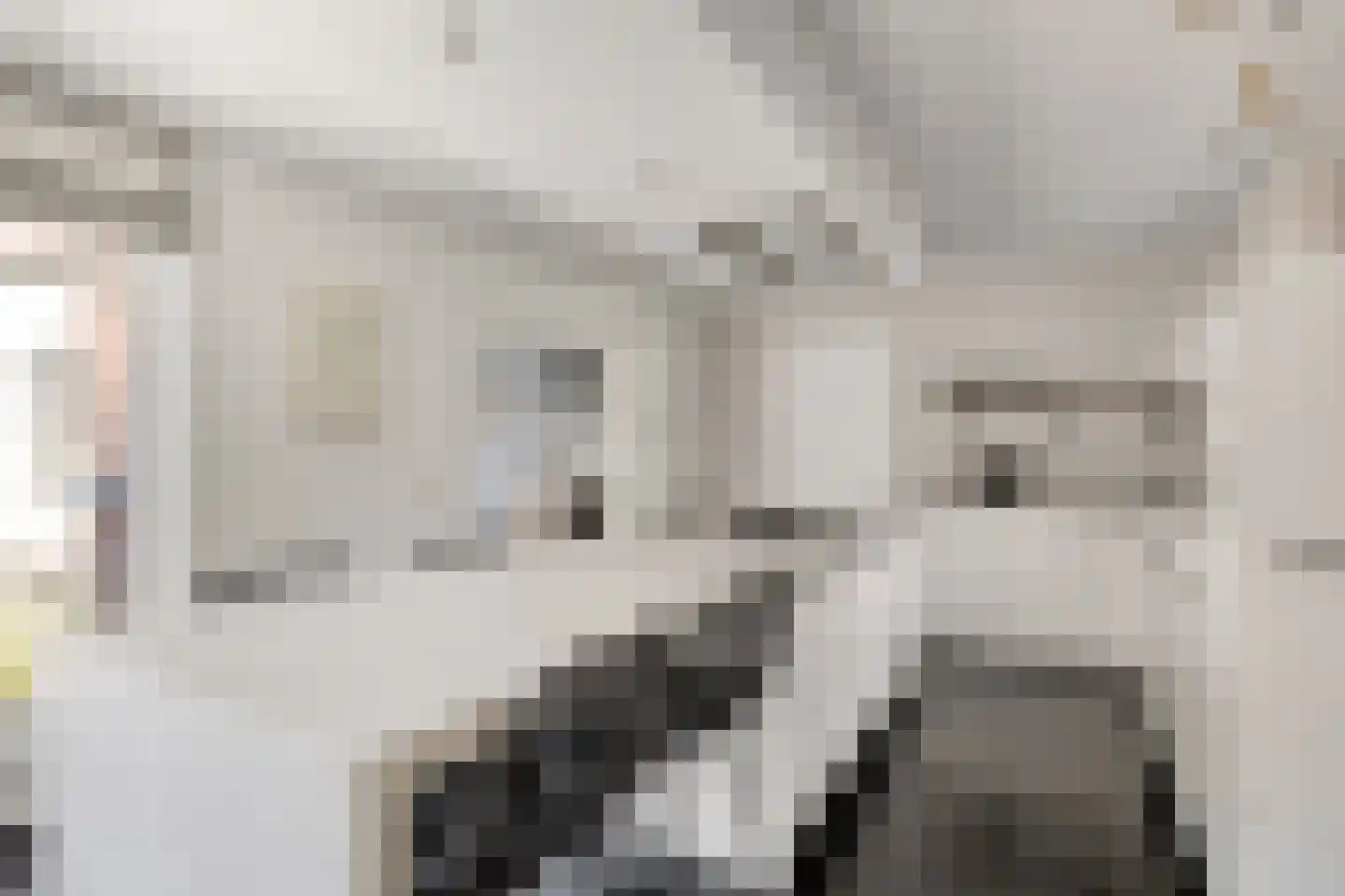 Lindenlaan 31 Bergen L thumbnail 19