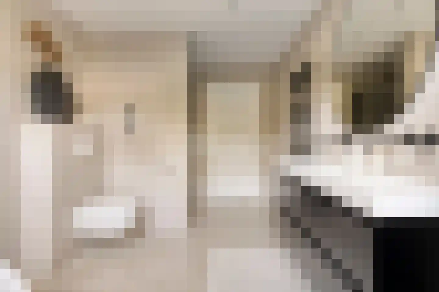 Lindenlaan 31 Bergen L thumbnail 30