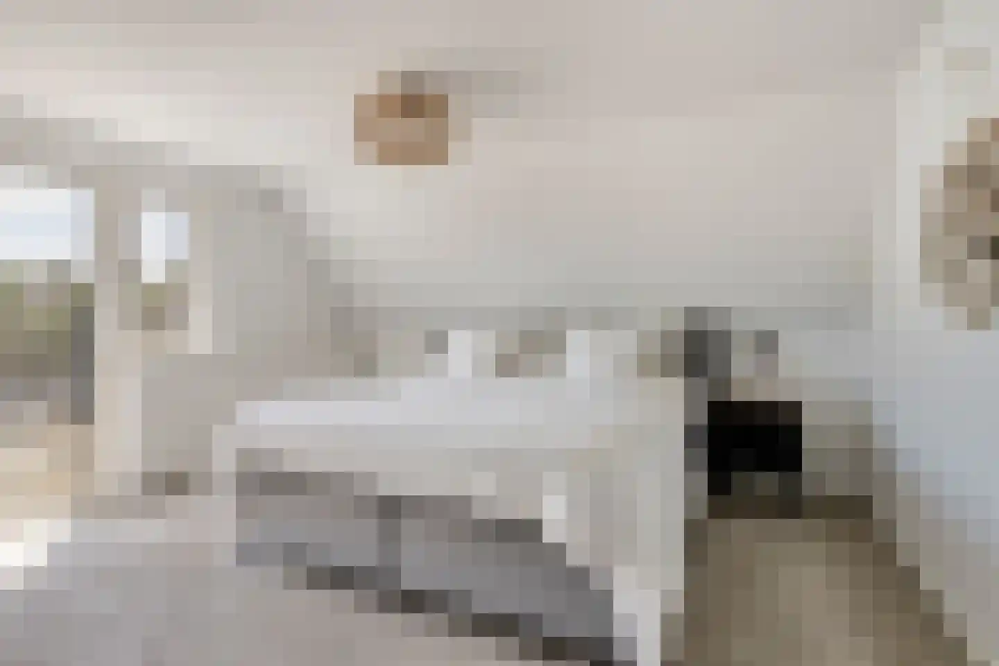 Lindenlaan 31 Bergen L thumbnail 34