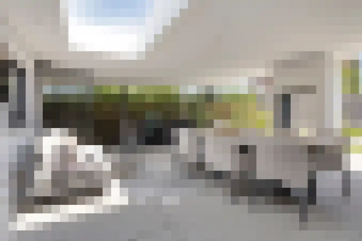 Lindenlaan 31 Bergen L thumbnail 39