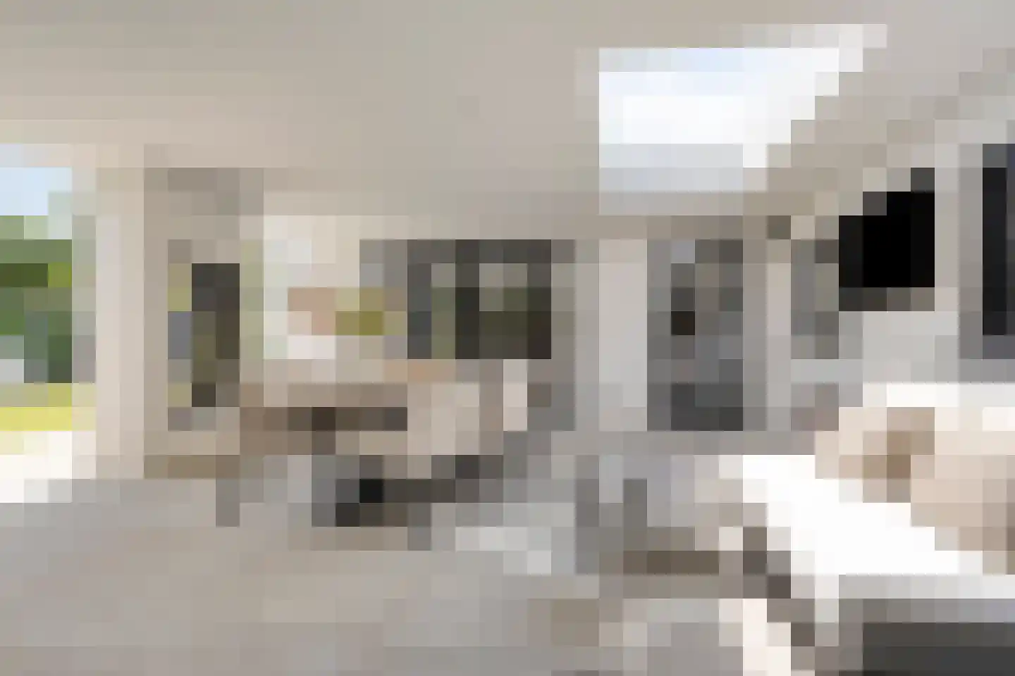 Lindenlaan 31 Bergen L thumbnail 41