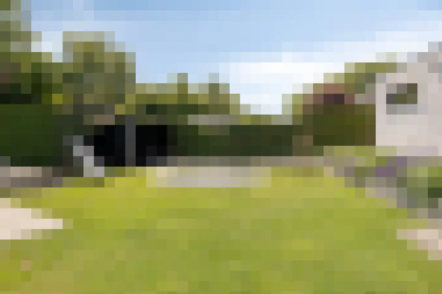 Lindenlaan 31 Bergen L thumbnail 50