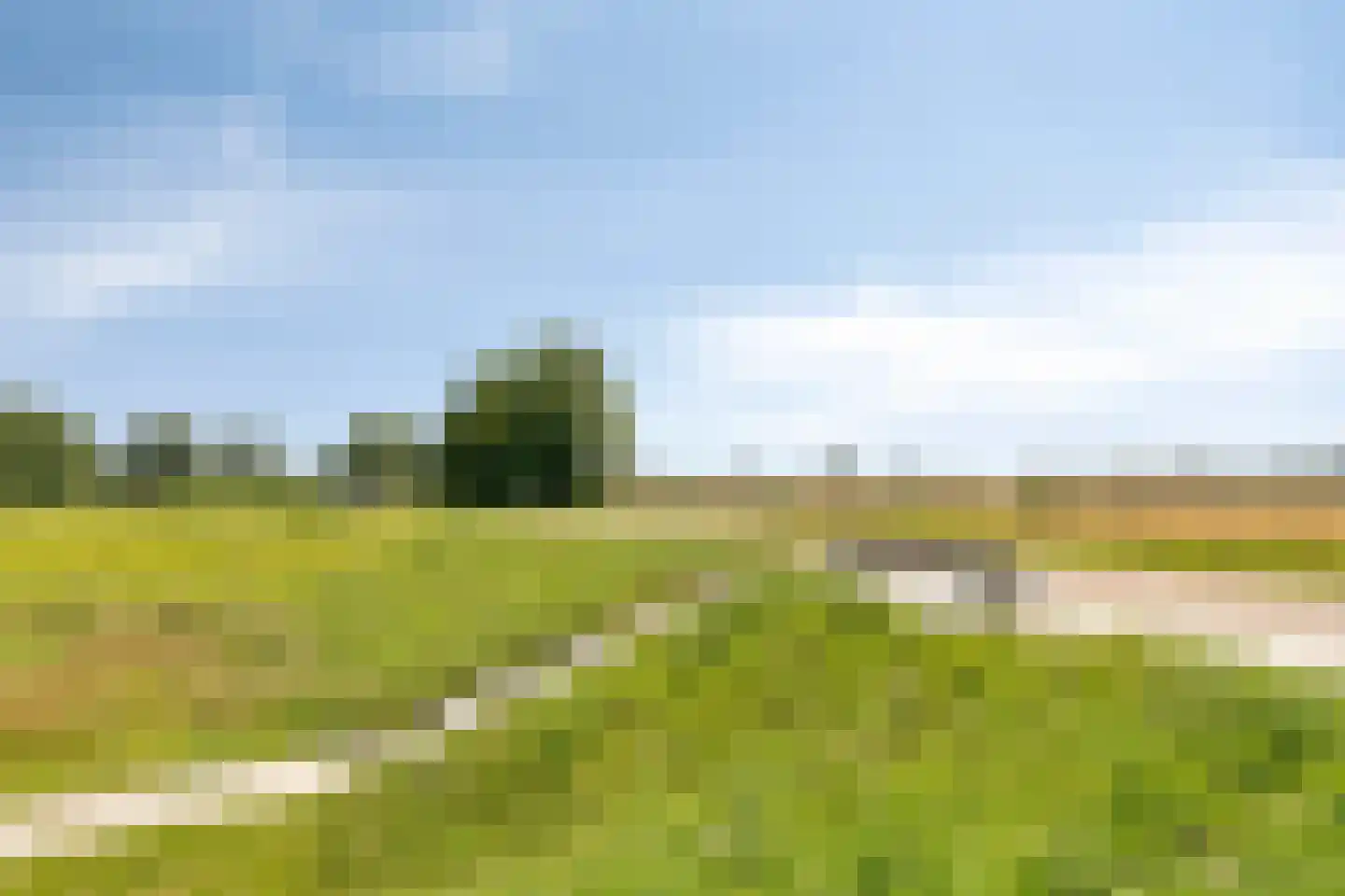 Lindenlaan 31 Bergen L thumbnail 51