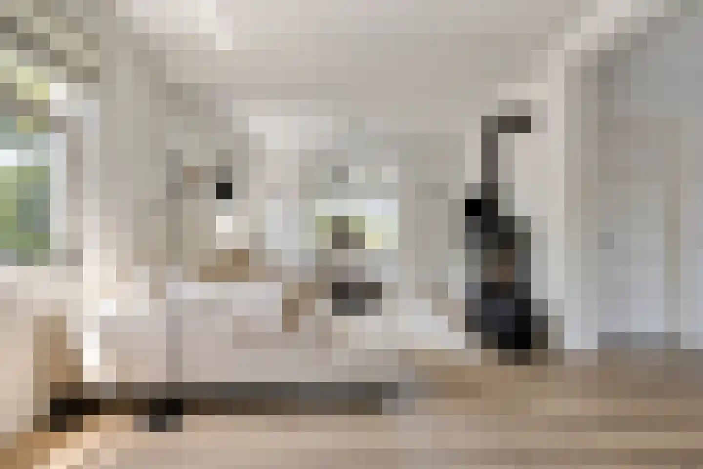 Lindenlaan 31 Bergen L thumbnail 8