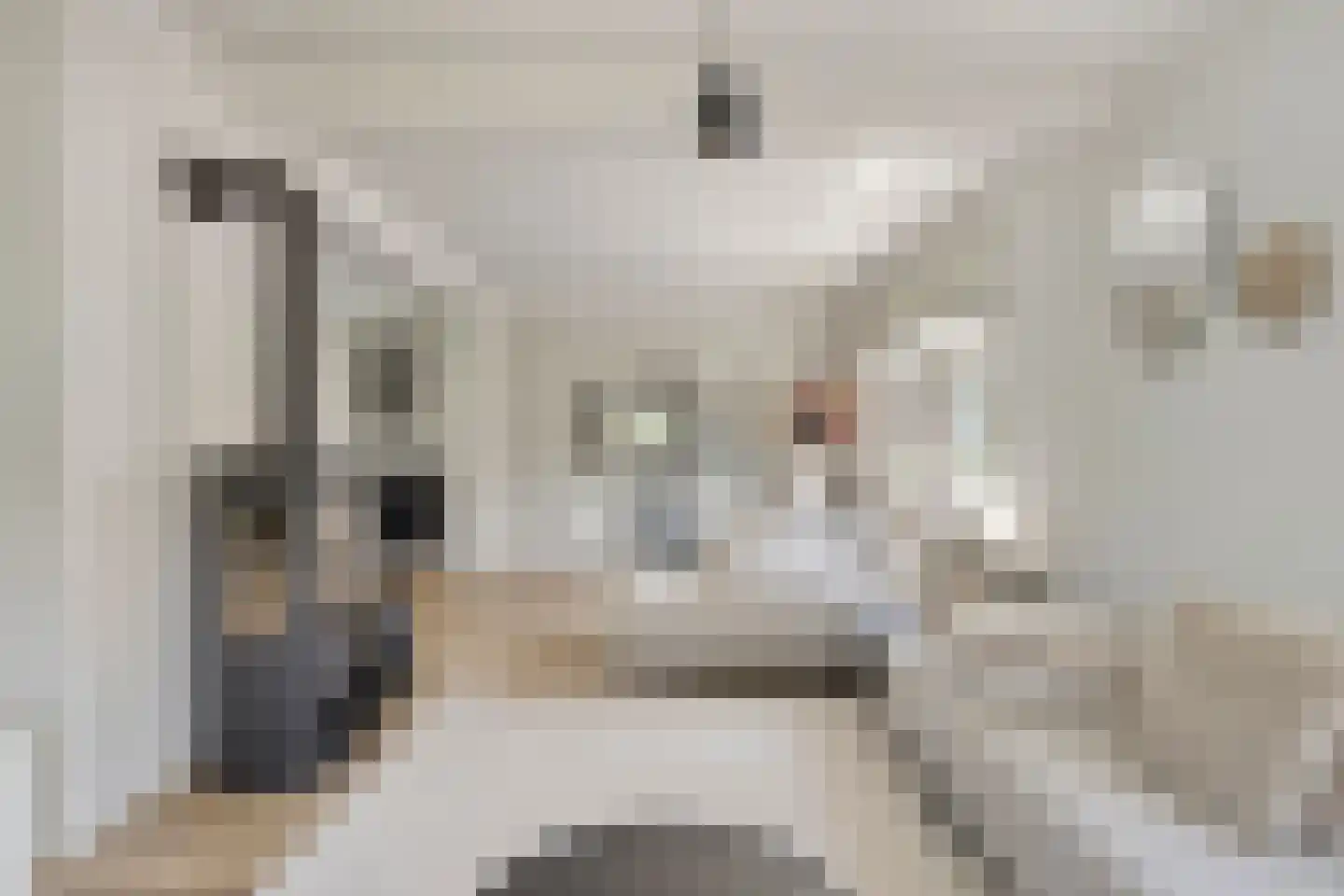Lindenlaan 31 Bergen L thumbnail 9
