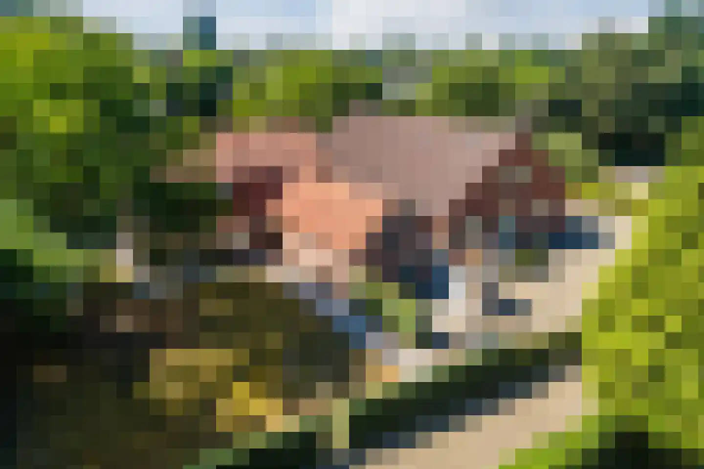 Lindenlaan 31 Molenhoek thumbnail 14