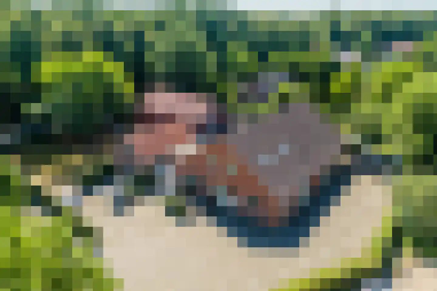 Lindenlaan 31 Molenhoek thumbnail 15