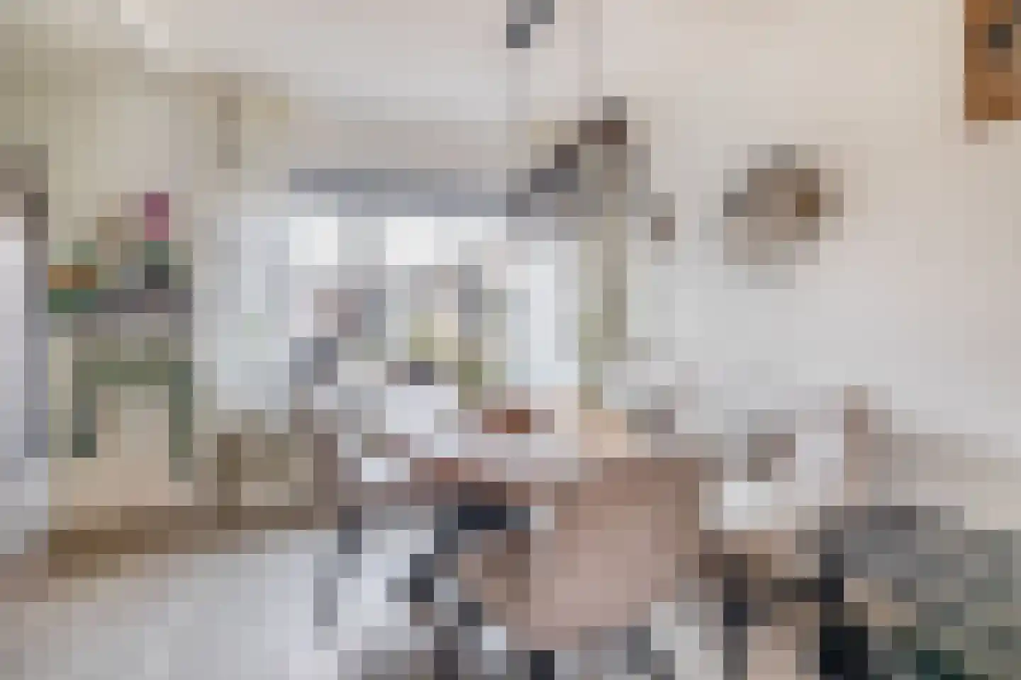 Lindenlaan 31 Ooltgensplaat thumbnail 10