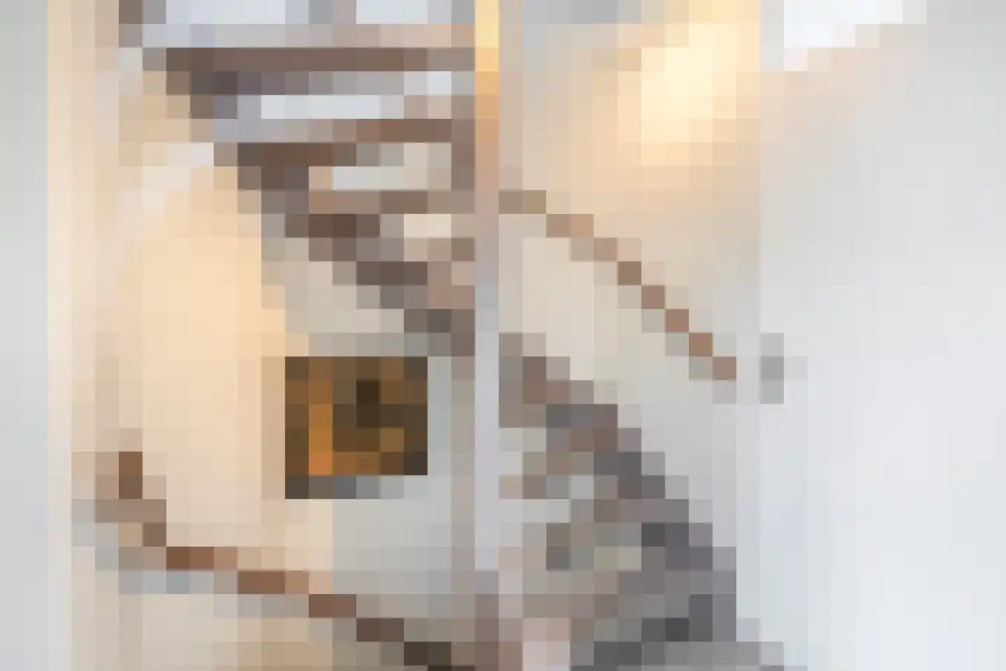 Lindenlaan 31 Ooltgensplaat thumbnail 16