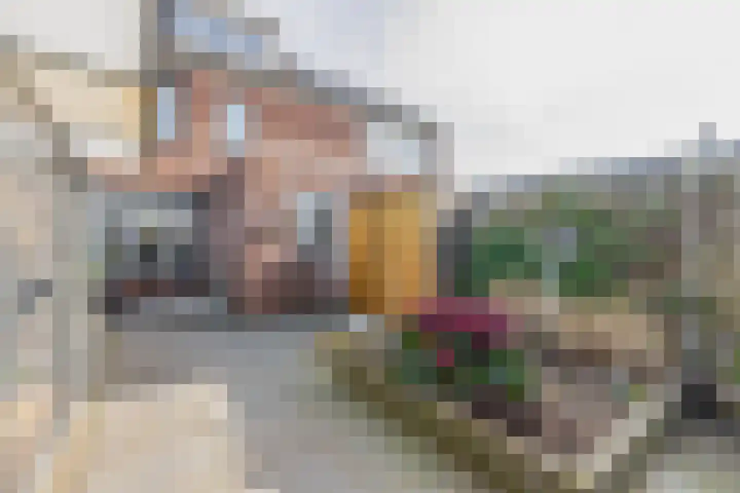 Lindenlaan 31 Ooltgensplaat thumbnail 25
