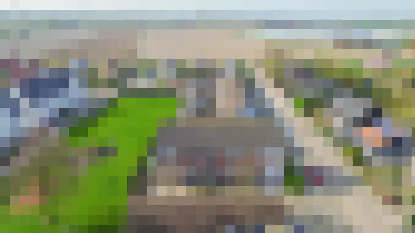 Lindenlaan 31 Ooltgensplaat thumbnail 40