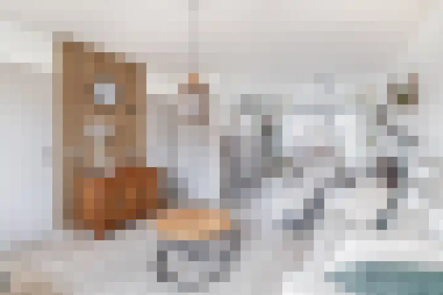 Lindenlaan 31 Ooltgensplaat thumbnail 8