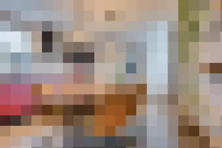 Lindenlaan 32 Vinkel thumbnail 9