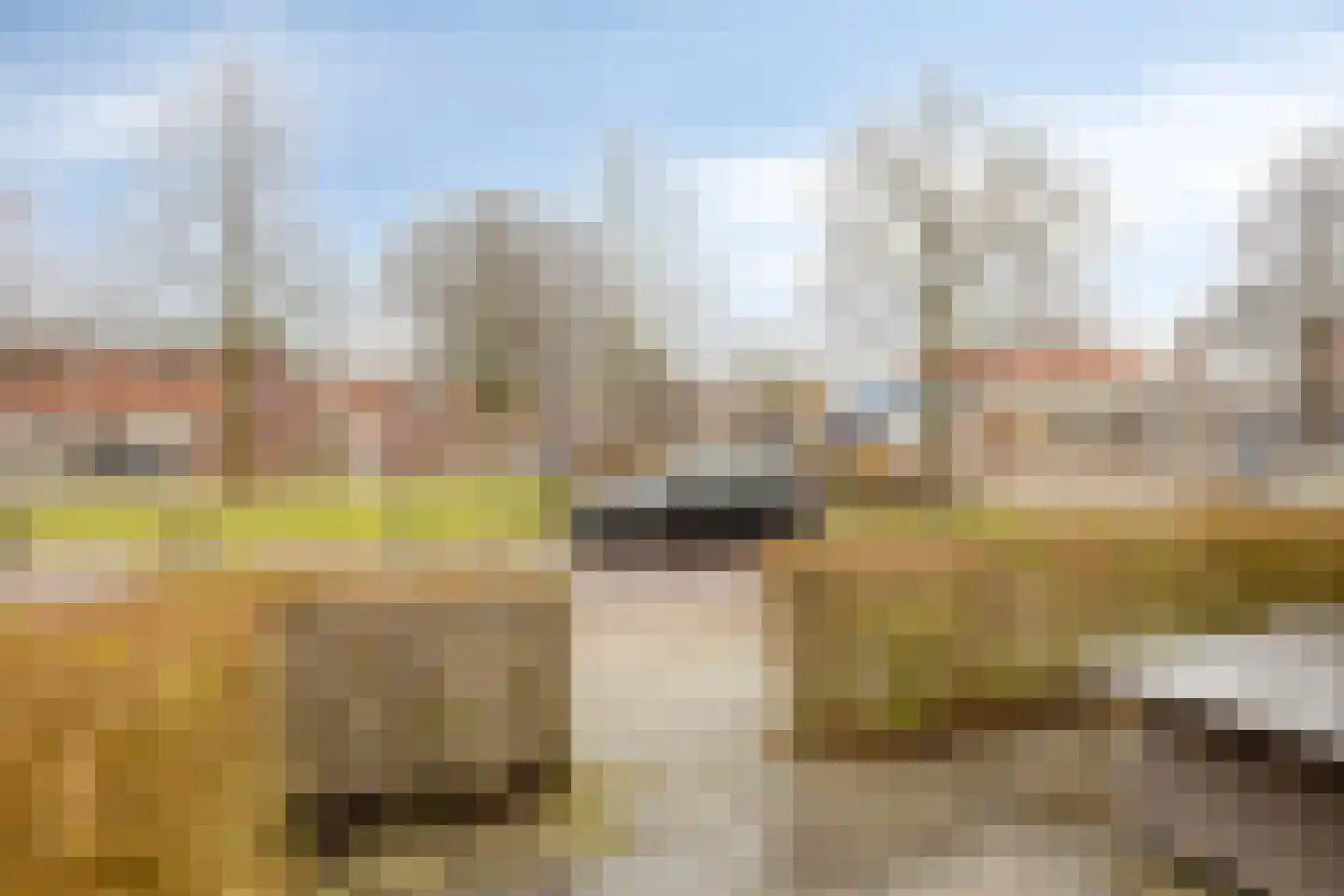 Lindenlaan 33 Zaandam thumbnail 40