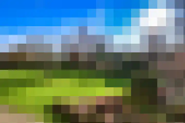 Lindenlaan 34 A Bergen (NH) thumbnail 20