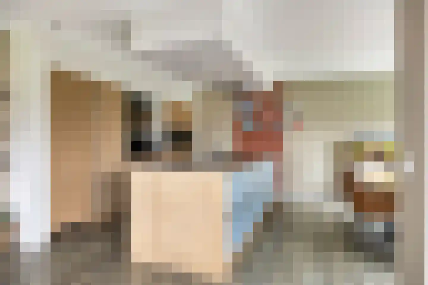 Lindenlaan 35 Uffelte thumbnail 12
