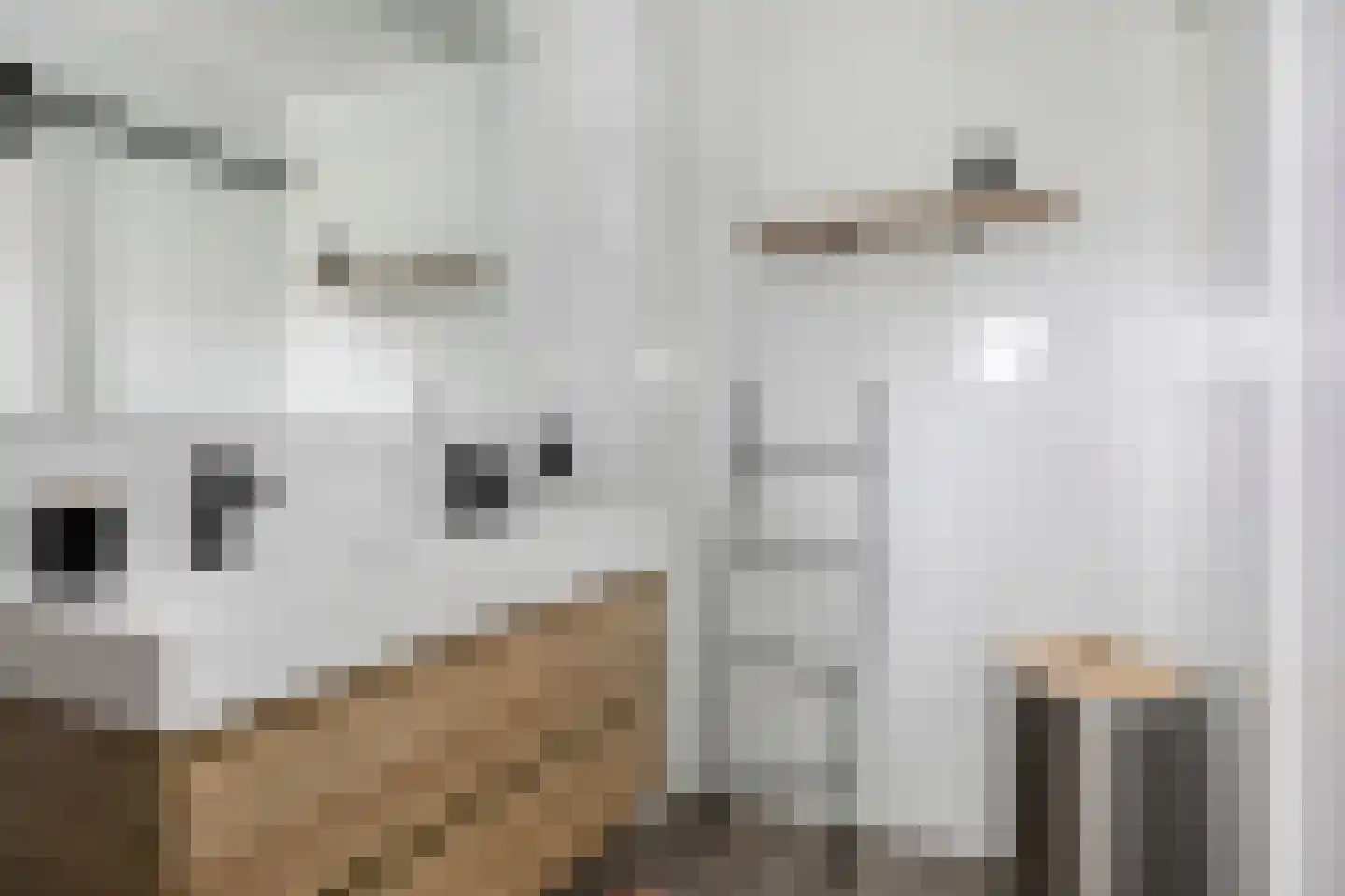 Lindenlaan 35 Uffelte thumbnail 18