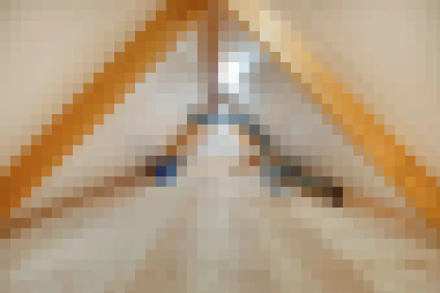 Lindenlaan 35 Uffelte thumbnail 34