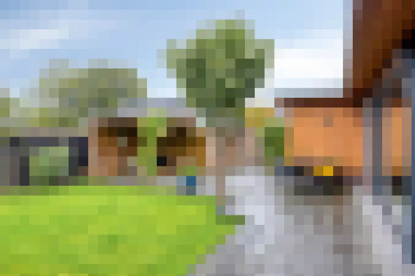 Lindenlaan 35 Uffelte thumbnail 38