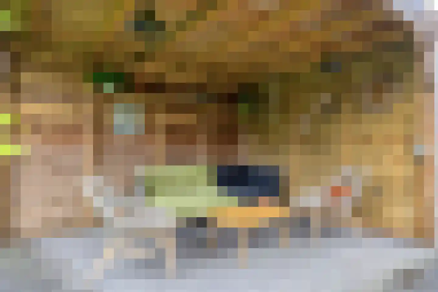 Lindenlaan 35 Uffelte thumbnail 39