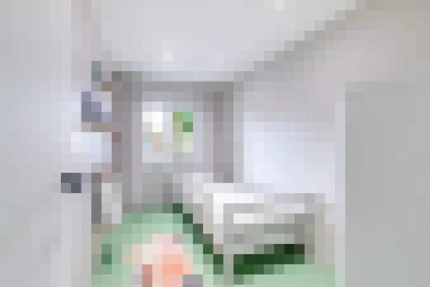 Lindenlaan 36 Alkmaar thumbnail 24