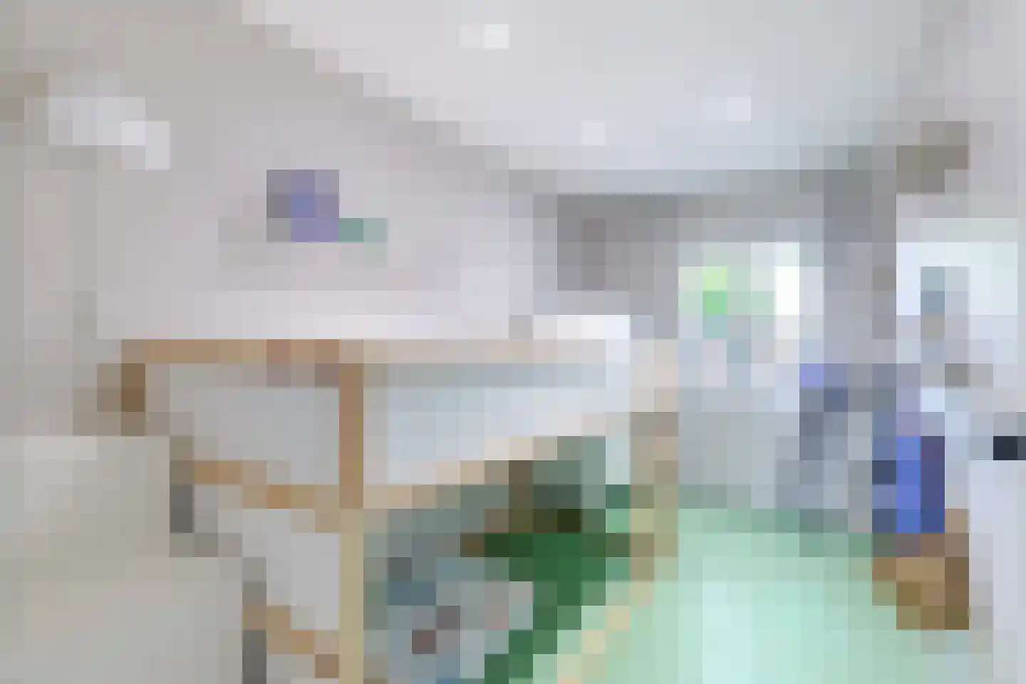 Lindenlaan 36 Alkmaar thumbnail 26