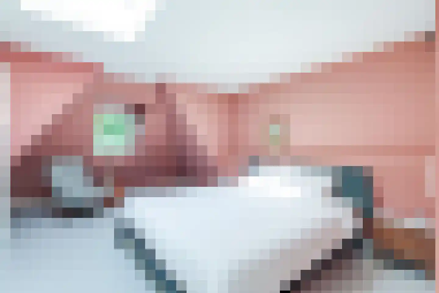 Lindenlaan 36 Alkmaar thumbnail 31