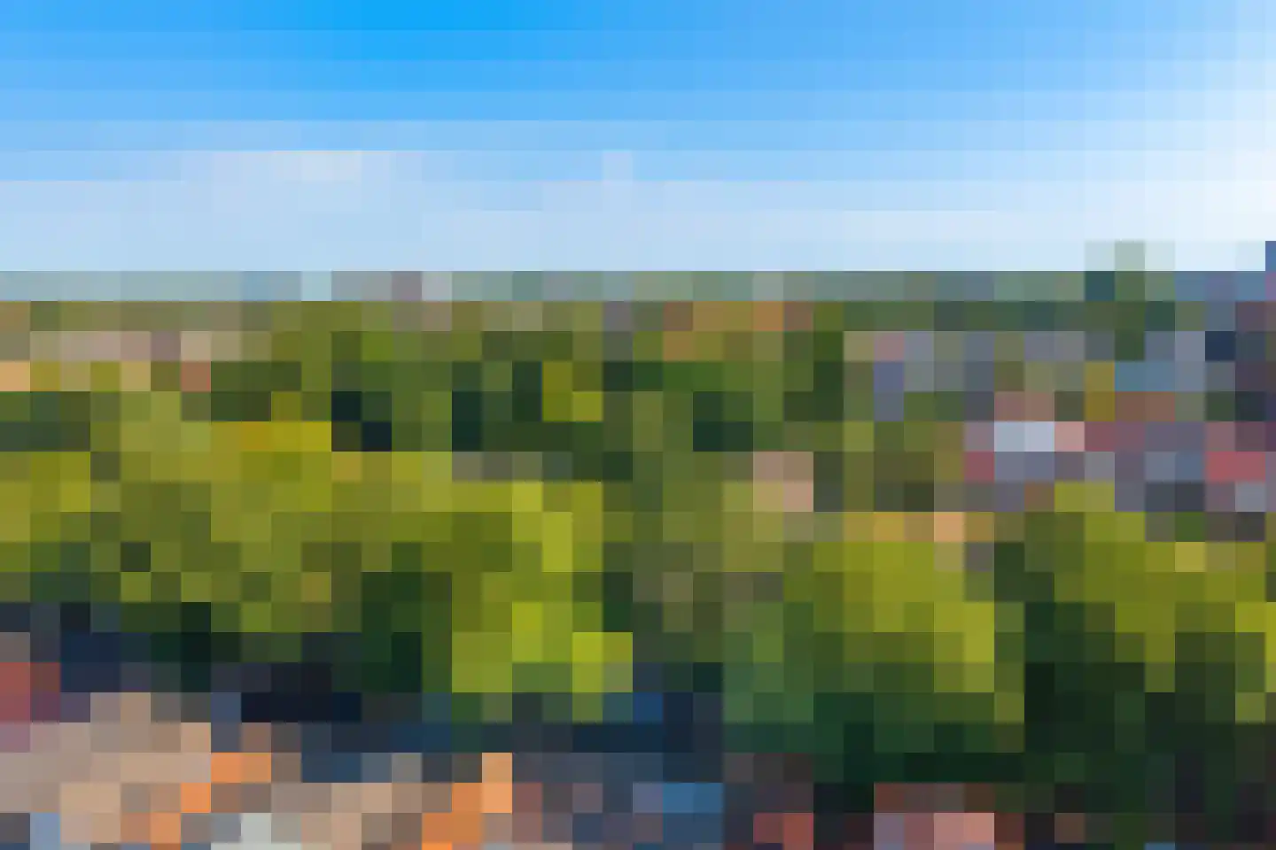 Lindenlaan 36 Alkmaar thumbnail 42